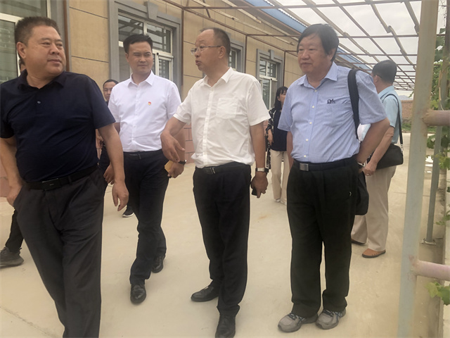 1626319939411771.jpg 12.jpg