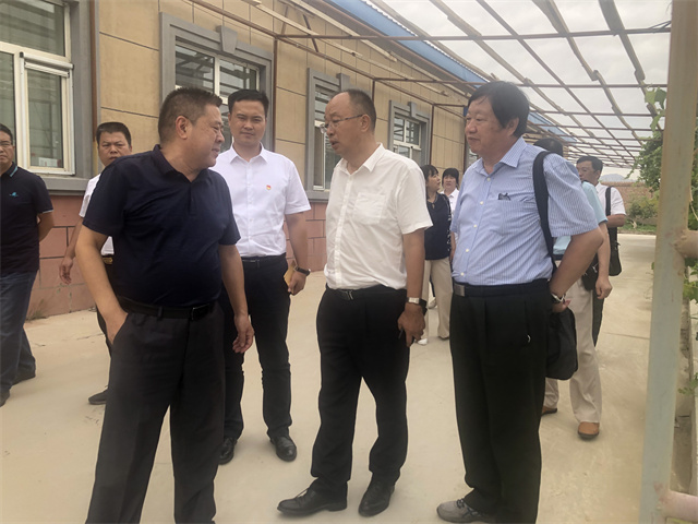 1626319956573613.jpg 8.jpg