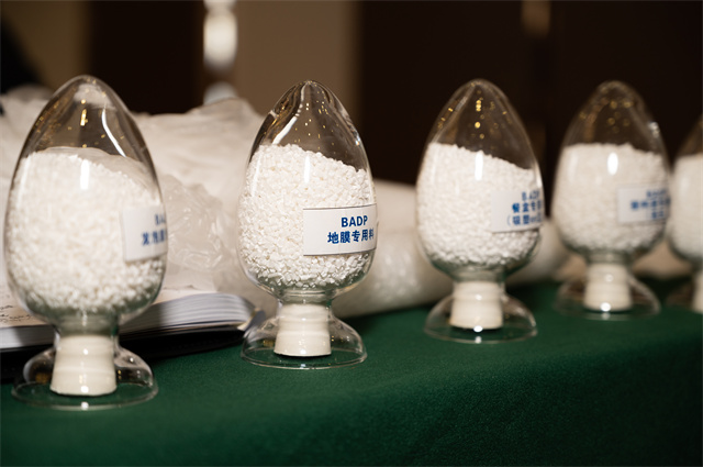 1634695789340166.jpg DSC_4421.jpg